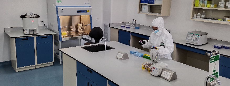 laboratorio bsl3 ecci 01