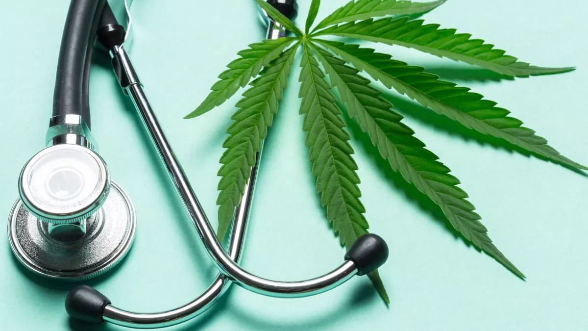 Diplomado Industrialización  Y Comercialización Del  Cannabis Medicinal