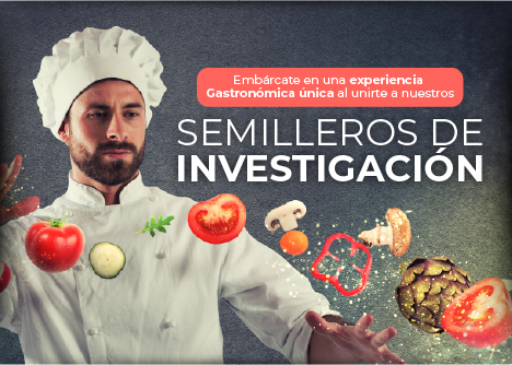 semilleros investigacion gastronomia