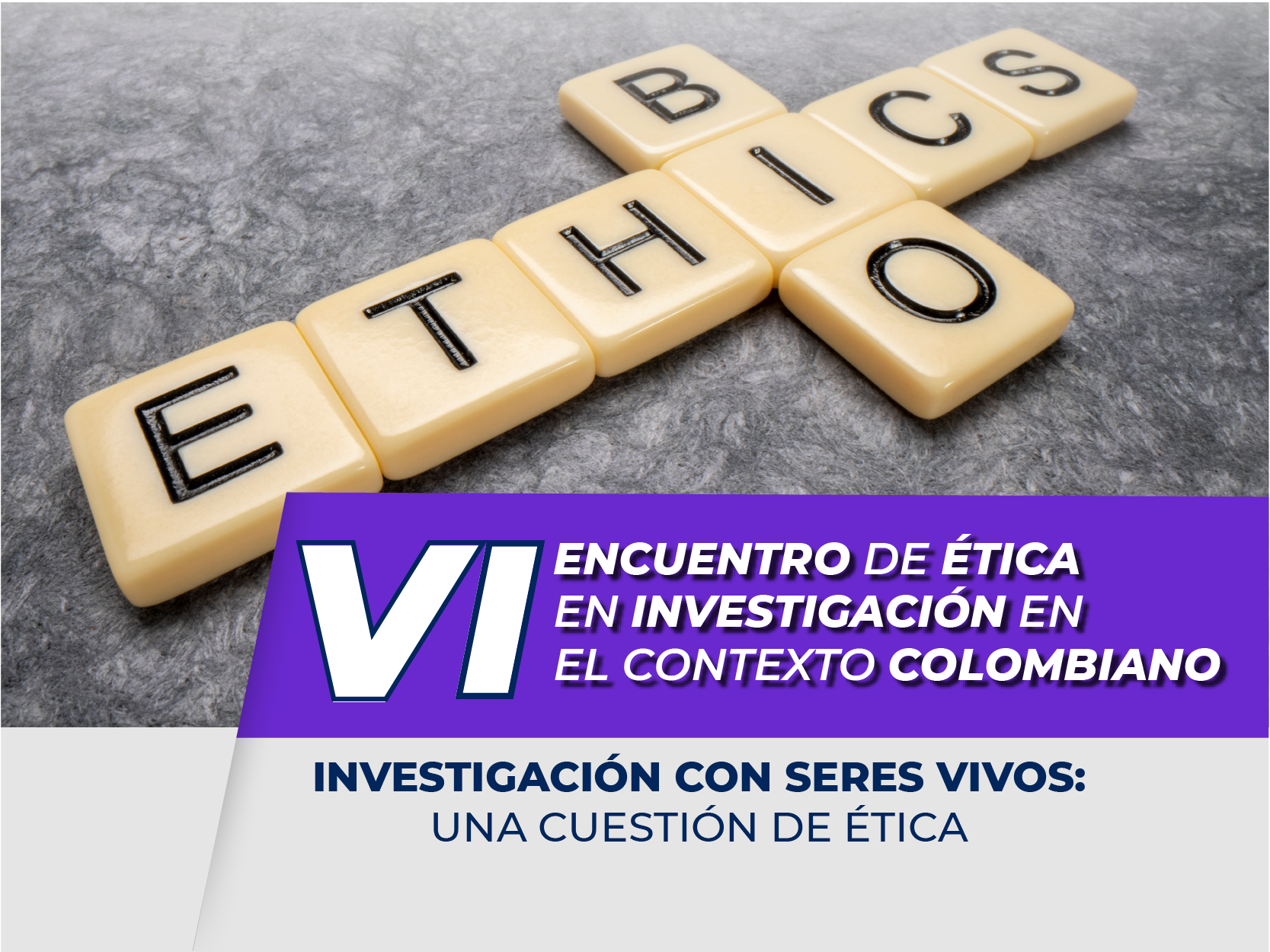 VI Encuentro de ética en investigación en el contexto colombiano