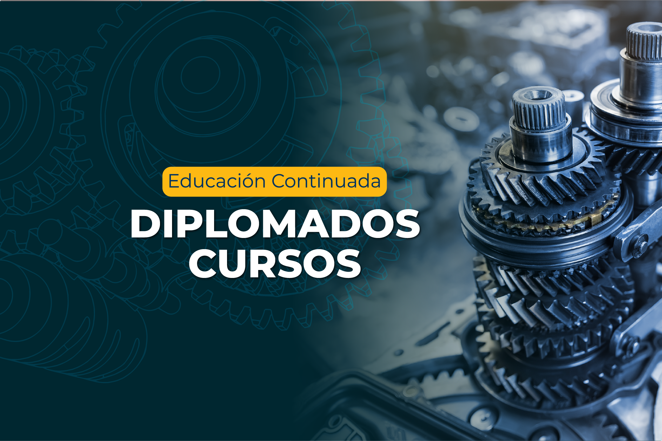 CURSOS DIPLOMADOS