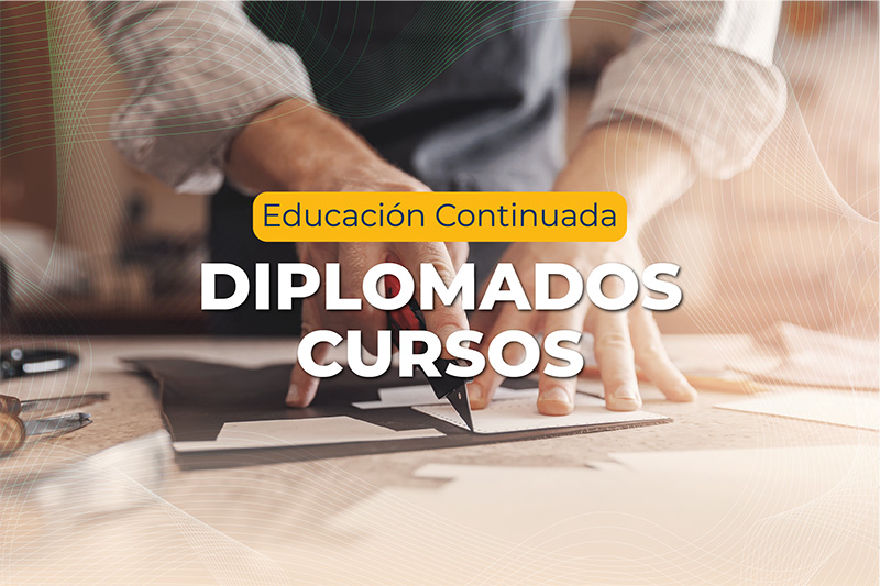 Diplomados Cursos 2024