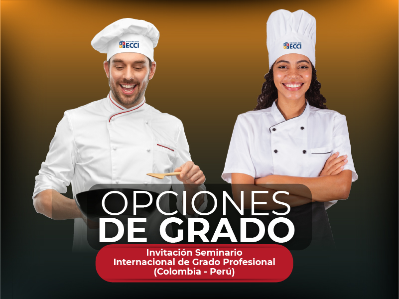 Opciones de grado – Seminario Internacional de Grado Profesional