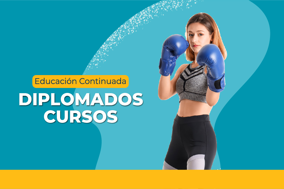 Diplomados Cursos Agosto 2024