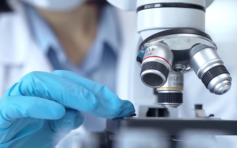 Semilleros y grupos de investigación