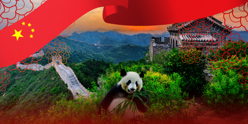 Noticia - ¡Estudia en China y expande tus horizontes!