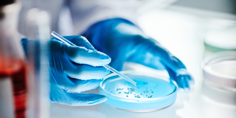 Ciencia, creatividad y diversión: así se vivió la Batalla Pokémon Microbiana