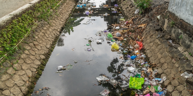 Noticia - Tecnología con conciencia ambiental: formación para pensar desde y para la vida