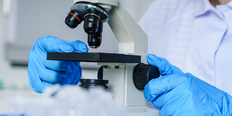 Bioquímica aplicada: el motor del aprendizaje en Ingeniería Biomédica