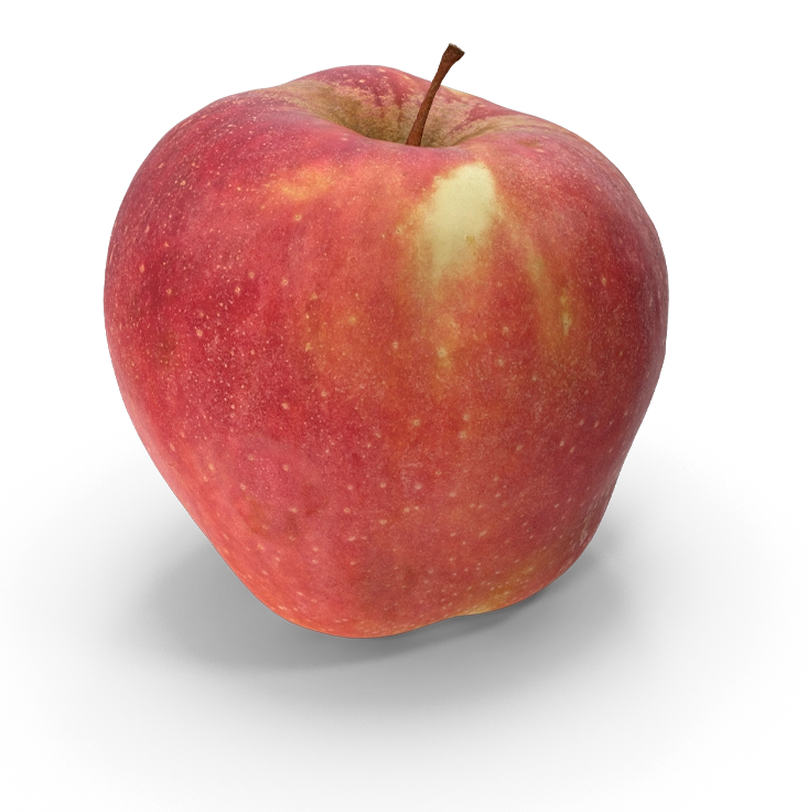 manzana-ecci-nutricion
